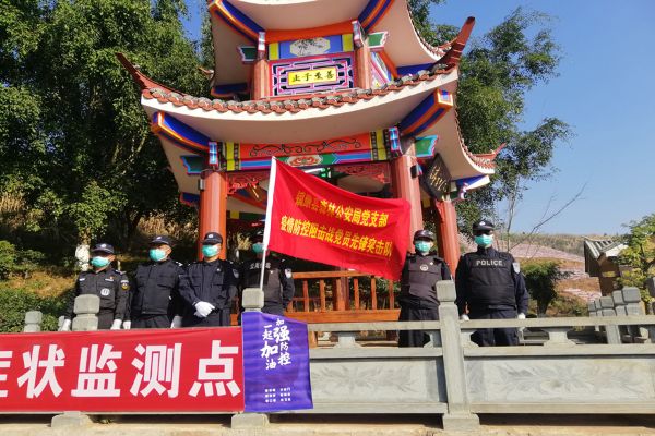 成立黨員突擊隊(duì)照片