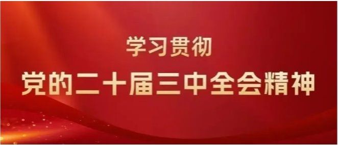 縣綜合行政執(zhí)法局 | 以“三學”模式推動學習貫徹黨的二十屆三中全會精神走“新”更走心