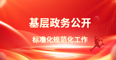 基層政務(wù)公開(kāi) 標(biāo)準(zhǔn)化規(guī)范化工作
